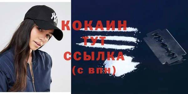 индика Осташков