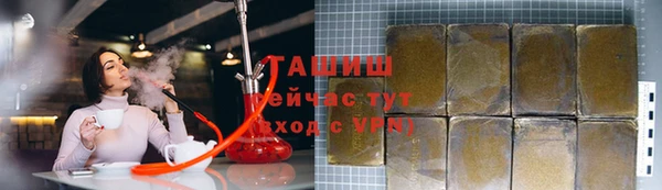 индика Осташков