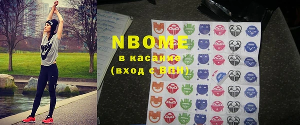 индика Осташков