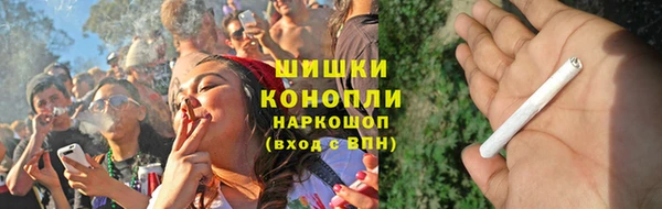 индика Осташков