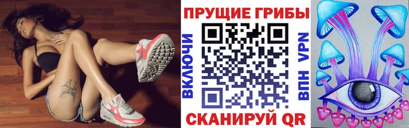 хочу наркоту  Кириллов  МЕГА ссылки  Псилоцибиновые грибы мицелий 